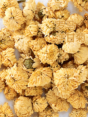 在花草茶中休息片刻-2-10款健康花草茶-9-罗马...